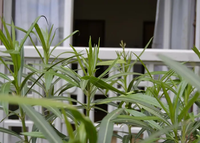 Conero P. T. Blocco E Διαμέρισμα Marcelli